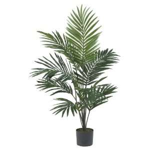  5 Kentia Palm Silk Tree Patio, Lawn & Garden