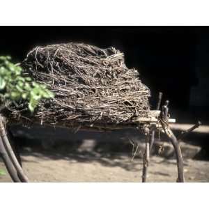  Reconttructed Native American Basket for Storing Acorn Harvest 
