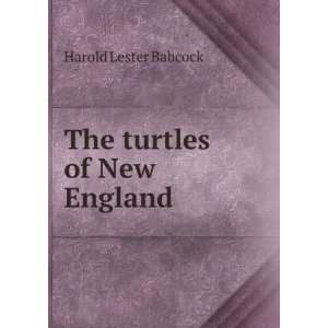  The turtles of New England Harold Lester Babcock Books