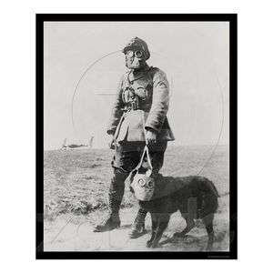 WWI Sergeant & His Dog Wearing Gas Masks 1915 15x18  