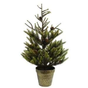   Glittered Dwarf Spruce Evergreen Tree #LDS 708 24