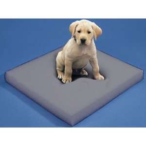  24 x 24 x 2 Charcoal Soft Foam Sheets: Office Products