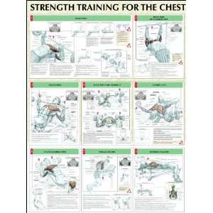  Human Kinetics Strength Training Anatomy Poster   Chest 