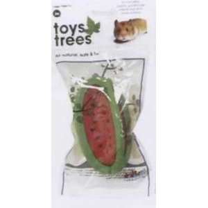   JW Pet Small Animal Chew Toy From Trees Watermelon Large 2 Pieces: Pet