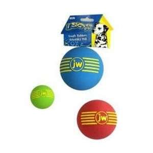   JW Pet iSqueak Rubber Ball Dog Chew Toy large  4 diameter: Pet