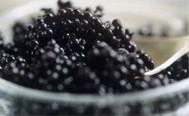 Caviar is the most famous nutritious food containing Omega 3, vitamin 
