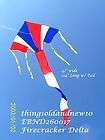   Kite:114 L w/Tail: Patriotic,Outd​oor,Beach,Fami​ly,Toy Gift