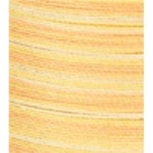  Cotton Multicolor Machine Quilting Thread 225 Yards Sunny 