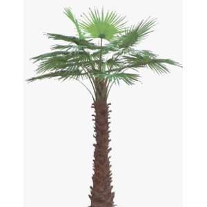    13 Giant Artificial Washingtonia Palm Tree
